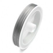 Gecoat draad 100meter Transparant-zilver