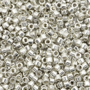 Miyuki kralen delica's 11/0 Galvanized silver