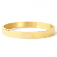 Roestvrij stalen (RVS) stainless steel armbanden Goud