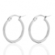 Roestvrij stalen (RVS) Stainless steel oorbellen creolen Zilver
