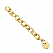 Roestvrij stalen (RVS) stainless steel onderdelen verlengketting coin 8mm Goud