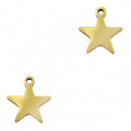 Roestvrij stalen (RVS) Stainless steel bedels ster Goud