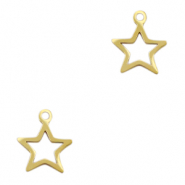 Roestvrij stalen (RVS) Stainless steel bedels ster Goud