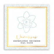 Sieraden kaartjes Birth flower December-Narcissus Greenish grey