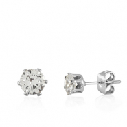Roestvrij stalen (RVS) Stainless steel oorbellen zirconia Silver