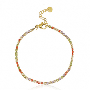 Roestvrij stalen (RVS) Stainless steel armbanden Goud-multicolour