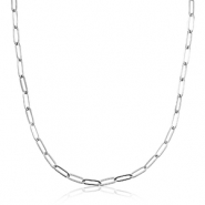 Roestvrij stalen (RVS) Stainless steel schakelkettingen Silver