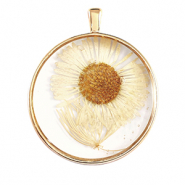 Bedels met gedroogde bloemetjes Gold-beige