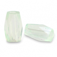 Top Facet kralen tube Soft mint green