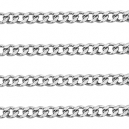 Roestvrij stalen (RVS) Stainless steel onderdelen jasseron gourmet Silver