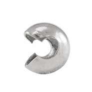 Roestvrij stalen (RVS) Stainless steel onderdelen knijpkraal verbergers 5mm Silver