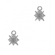 Roestvrij stalen (RVS) Stainless steel bedels ster Antiek zilver