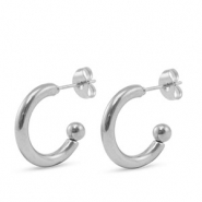 Roestvrij stalen (RVS) Stainless steel oorbellen / oorstekers Silver