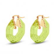 Trendy resin oorbellen hexagon Gold-transparent green