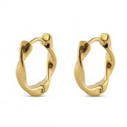 Roestvrij stalen (RVS) stainless steel oorbellen Gold