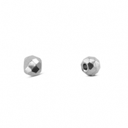 Roestvrij stalen (RVS) stainless steel kralen Silver