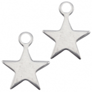 Bedels DQ ster Antiek zilver (nikkelvrij)