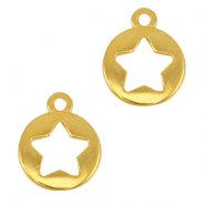 DQ metalen bedels ster Goud (nikkelvrij)