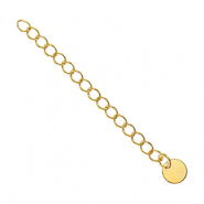 Onderdelen DQ metaal verlengketting coin 6mm Goud (nikkelvrij)