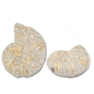 DQ Grieks keramiek kralen schelp White-light brown-gold