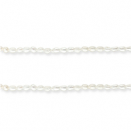 Zoetwaterparels rice Natural white