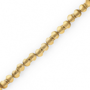 Hematite kralen schelp Gold