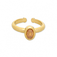 Roestvrij stalen (RVS) Stainless steel ringen Gold-light orange