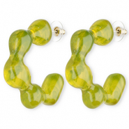 Trendy resin oorbellen / oorstekers Multicolour green