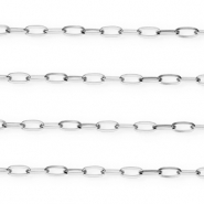 Roestvrij stalen (RVS) Stainless steel schakelkettingen Silver