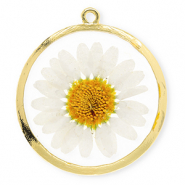 Bedels met gedroogde bloemetjes 34mm Gold-white-soft orange