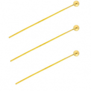 BY31&reg; Roestvrij stalen (RVS) Stainless steel onderdelen nietstiften met bolletje 35mm Gold