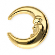 Roestvrij stalen (RVS) Stainless steel statement broches maan Gold