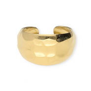 Roestvrij stalen (RVS) Stainless steel ringen Gold