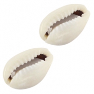 Schelp stukjes Kauri Ivory-grey