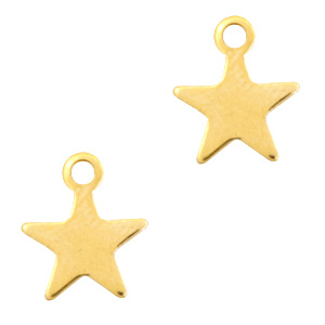 Roestvrij stalen (RVS) stainless steel bedels ster Goud