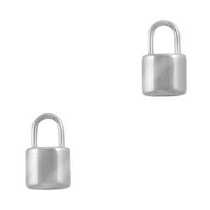 Roestvrij stalen (RVS) Stainless steel bedels slot Zilver