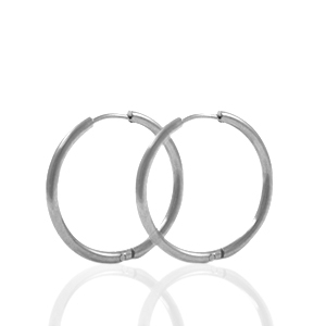 Roestvrij stalen (RVS) Stainless steel oorbellen creolen 22mm Zilver