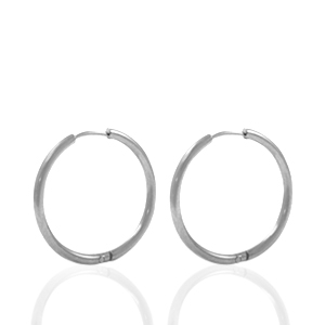 Roestvrij stalen (RVS) Stainless steel oorbellen creolen 18mm Zilver
