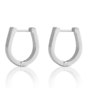 Roestvrij stalen (RVS) Stainless steel oorbellen horseshoe Zilver