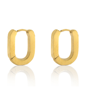 Roestvrij stalen (RVS) Stainless steel oorbellen oval Goud