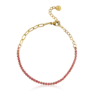 Roestvrij stalen (RVS) Stainless steel armbanden Goud-pink