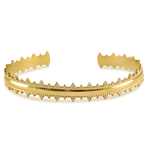 Roestvrij stalen (RVS) Stainless steel armbanden bangle Gold