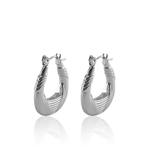 Roestvrij stalen (RVS) Stainless steel oorbellen creolen ovaal Silver