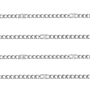 Roestvrij stalen (RVS) Stainless steel onderdelen jasseron gourmet Silver