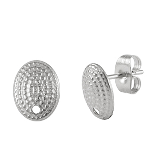 Roestvrij stalen (RVS) Stainless steel oorbellen Silver