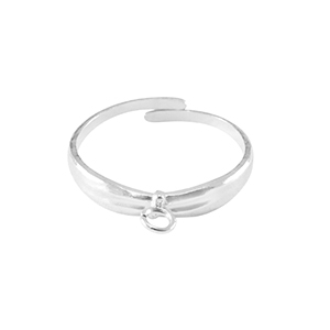 Roestvrij stalen (RVS) Stainless steel ringen met oogje Zilver
