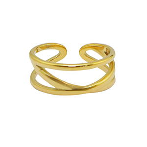 Roestvrij stalen (RVS) Stainless steel ringen Goud