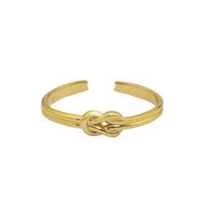 Roestvrij stalen (RVS) Stainless steel ringen Goud