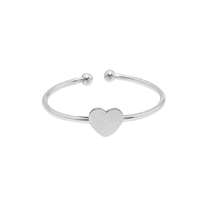 Roestvrij stalen (RVS) Stainless steel ringen hart Zilver