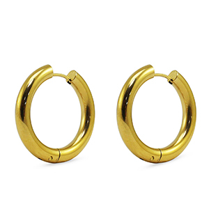 Roestvrij stalen (RVS) Stainless steel oorbellen creolen Gold